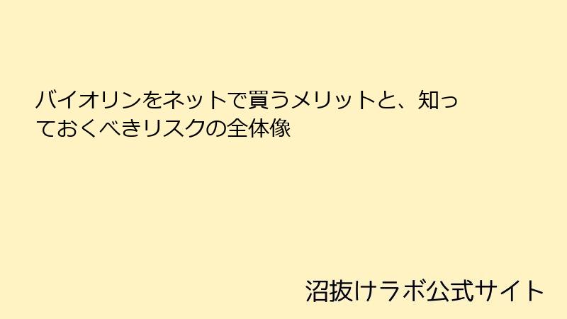 バイオリンをネットで買うメリットと、知っておくべきリスクの全体像
