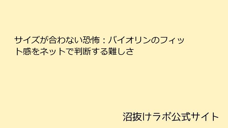 サイズが合わない恐怖：バイオリンのフィット感をネットで判断する難しさ