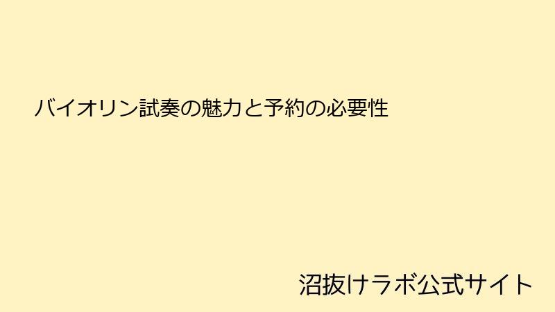 バイオリン試奏の魅力と予約の必要性