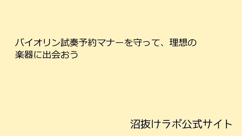 バイオリン試奏予約マナーを守って、理想の楽器に出会おう