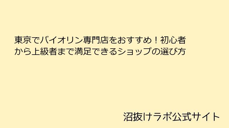 東京でバイオリン専門店をおすすめ！初心者から上級者まで満足できるショップの選び方