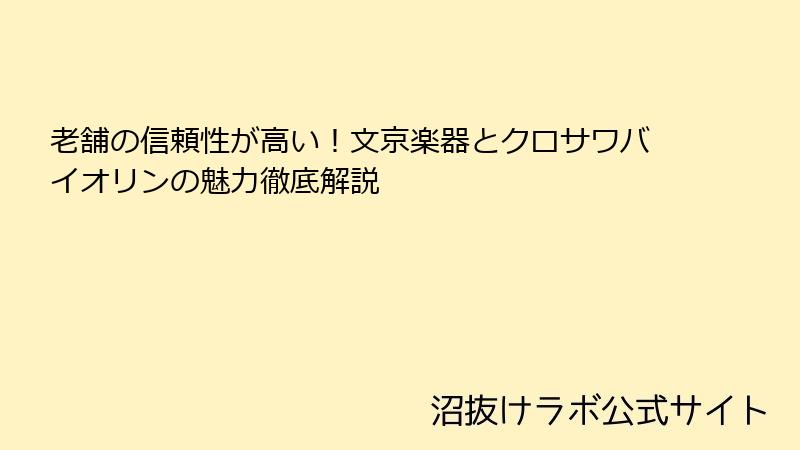 老舗の信頼性が高い！文京楽器とクロサワバイオリンの魅力徹底解説