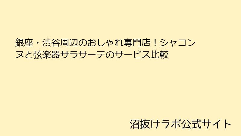 銀座・渋谷周辺のおしゃれ専門店！シャコンヌと弦楽器サラサーテのサービス比較