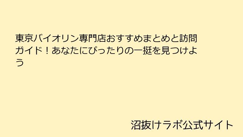 東京バイオリン専門店おすすめまとめと訪問ガイド！あなたにぴったりの一挺を見つけよう