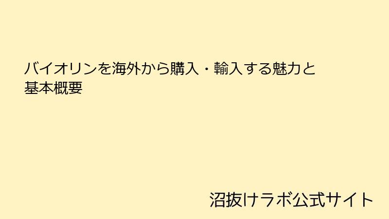 バイオリンを海外から購入・輸入する魅力と基本概要