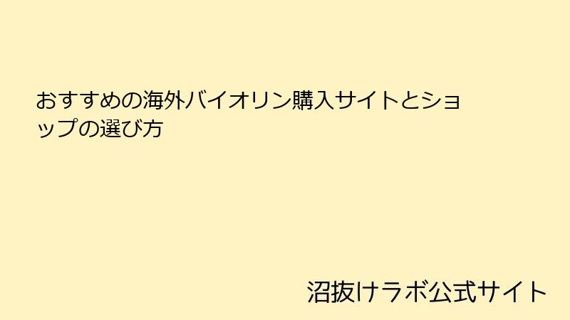 おすすめの海外バイオリン購入サイトとショップの選び方