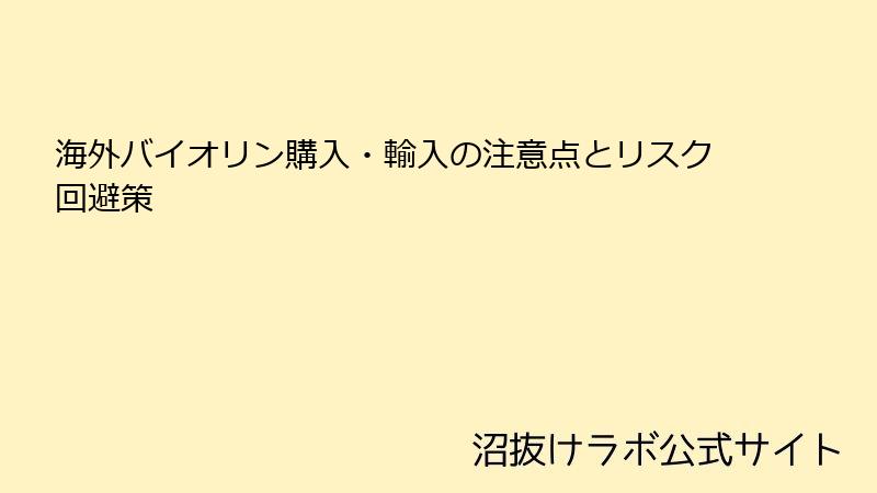 海外バイオリン購入・輸入の注意点とリスク回避策