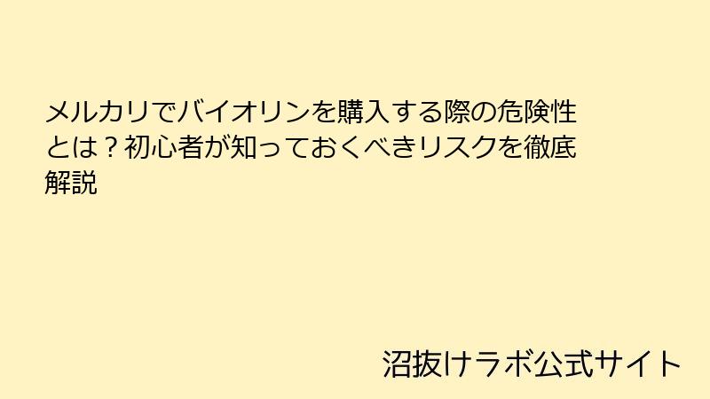 メルカリでバイオリンを購入する際の危険性とは？初心者が知っておくべきリスクを徹底解説
