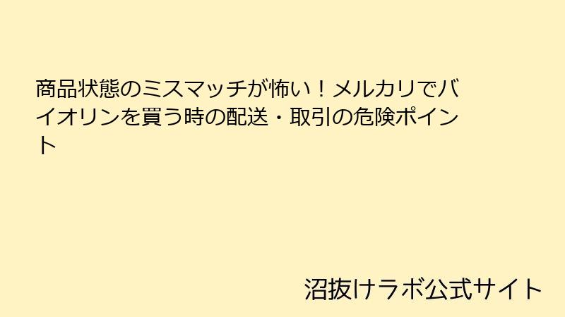 商品状態のミスマッチが怖い！メルカリでバイオリンを買う時の配送・取引の危険ポイント