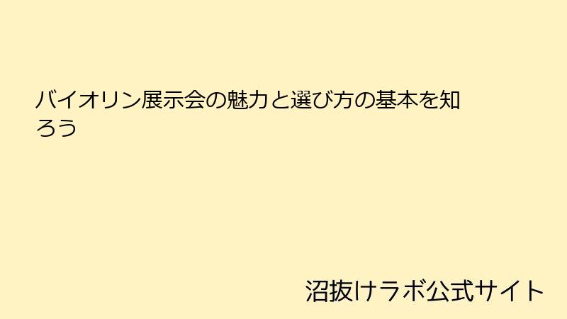 バイオリン展示会の魅力と選び方の基本を知ろう