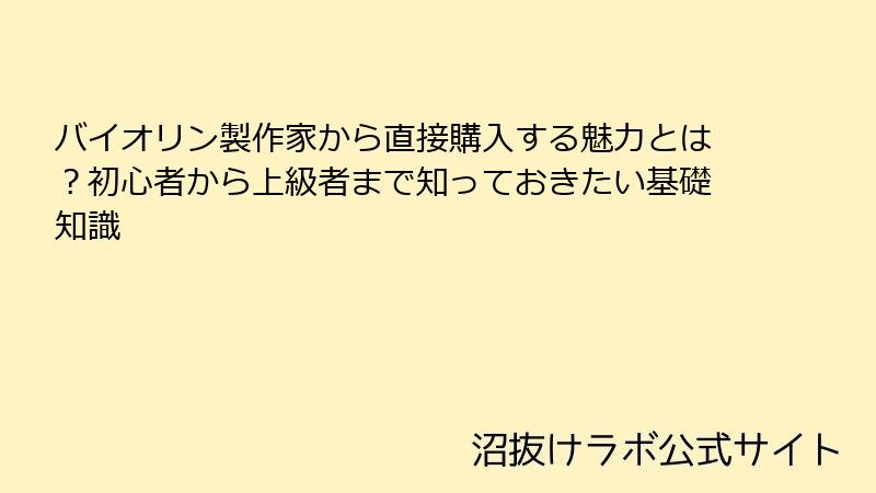 バイオリン製作家から直接購入する魅力とは？初心者から上級者まで知っておきたい基礎知識