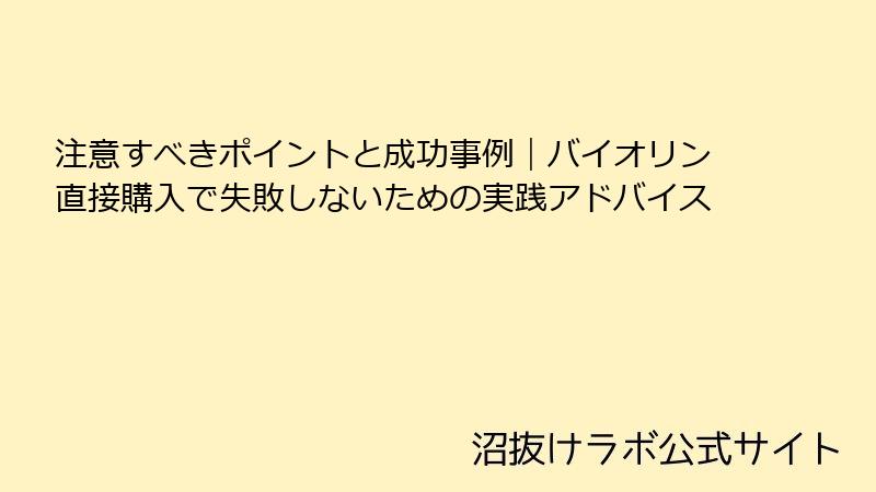 注意すべきポイントと成功事例｜バイオリン直接購入で失敗しないための実践アドバイス