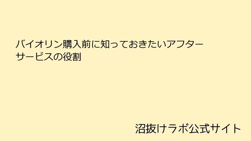 バイオリン購入前に知っておきたいアフターサービスの役割