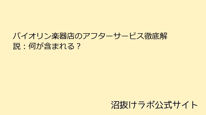バイオリン楽器店のアフターサービス徹底解説：何が含まれる？