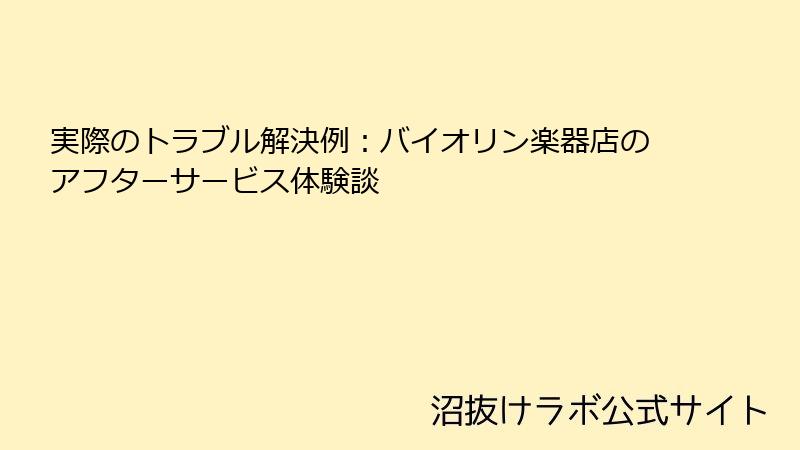 実際のトラブル解決例：バイオリン楽器店のアフターサービス体験談