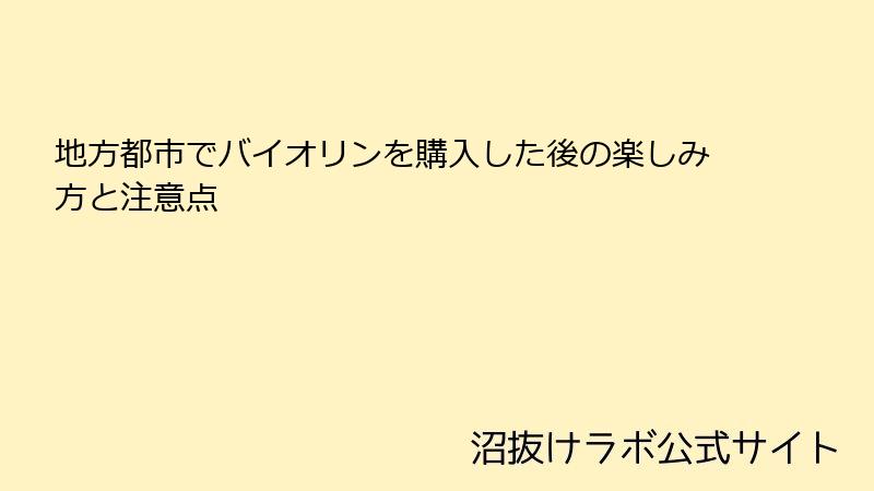 地方都市でバイオリンを購入した後の楽しみ方と注意点