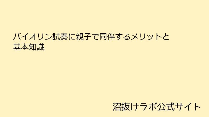 バイオリン試奏に親子で同伴するメリットと基本知識