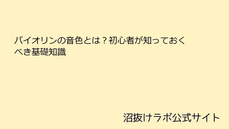バイオリンの音色とは？初心者が知っておくべき基礎知識