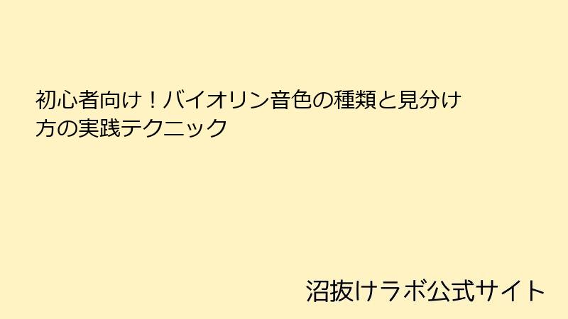 初心者向け！バイオリン音色の種類と見分け方の実践テクニック