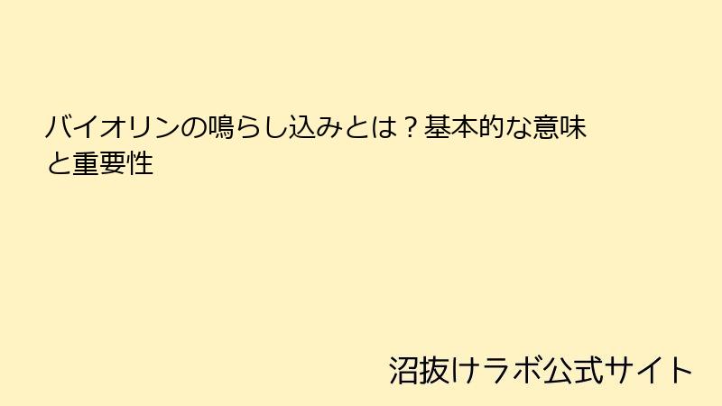 バイオリンの鳴らし込みとは？基本的な意味と重要性