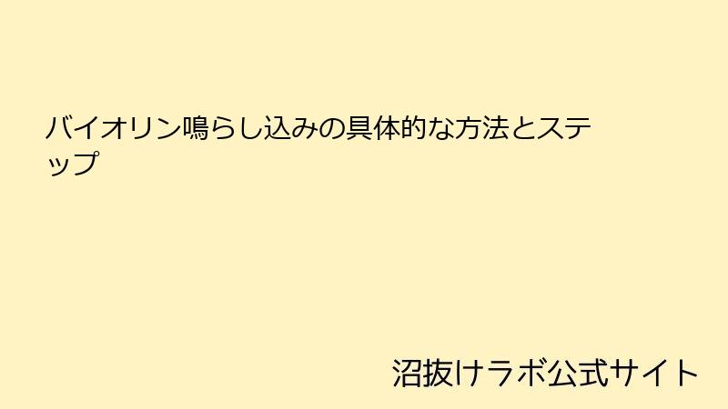 バイオリン鳴らし込みの具体的な方法とステップ