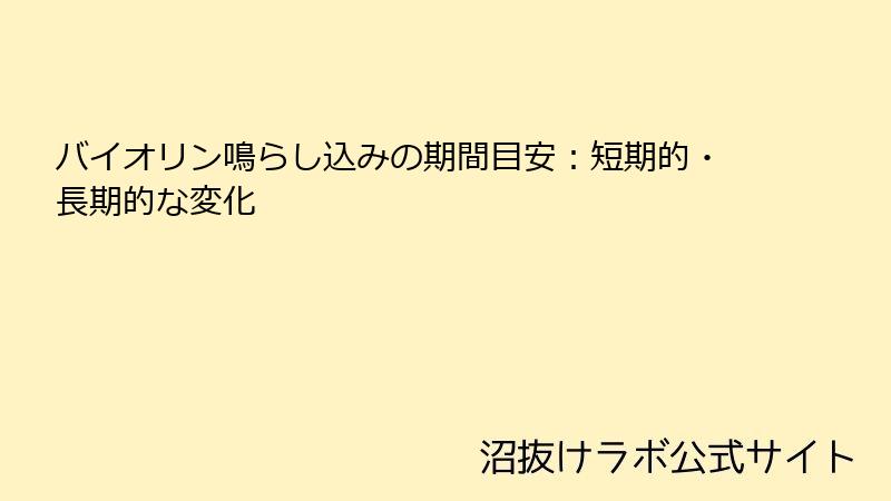 バイオリン鳴らし込みの期間目安：短期的・長期的な変化