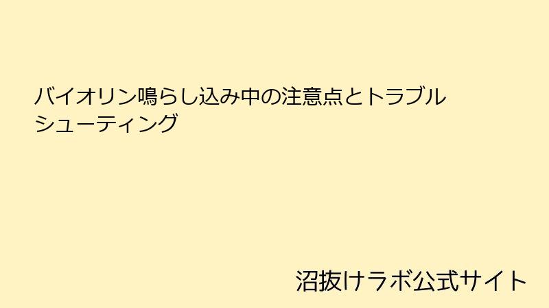 バイオリン鳴らし込み中の注意点とトラブルシューティング