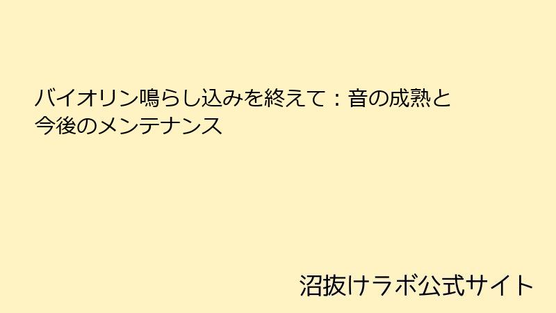 バイオリン鳴らし込みを終えて：音の成熟と今後のメンテナンス