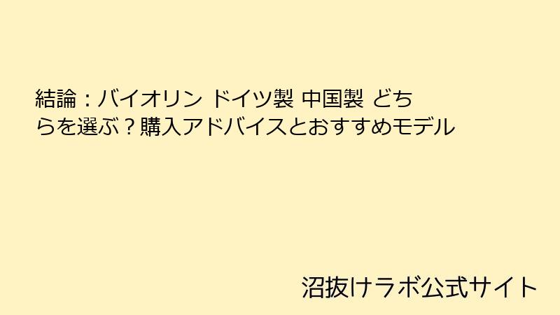 結論：バイオリン ドイツ製 中国製 どちらを選ぶ？購入アドバイスとおすすめモデル