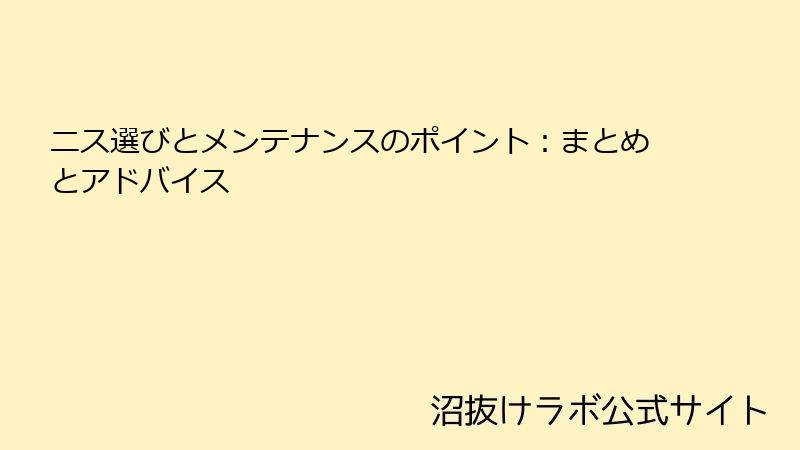 ニス選びとメンテナンスのポイント：まとめとアドバイス