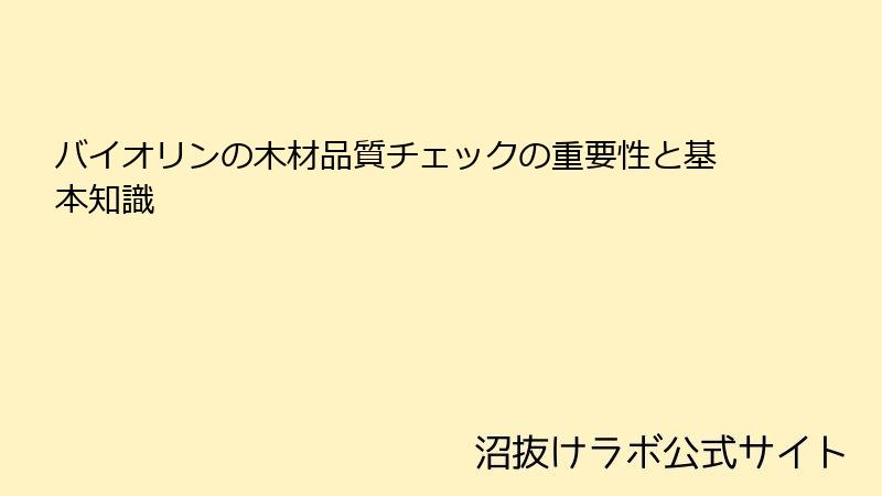 バイオリンの木材品質チェックの重要性と基本知識