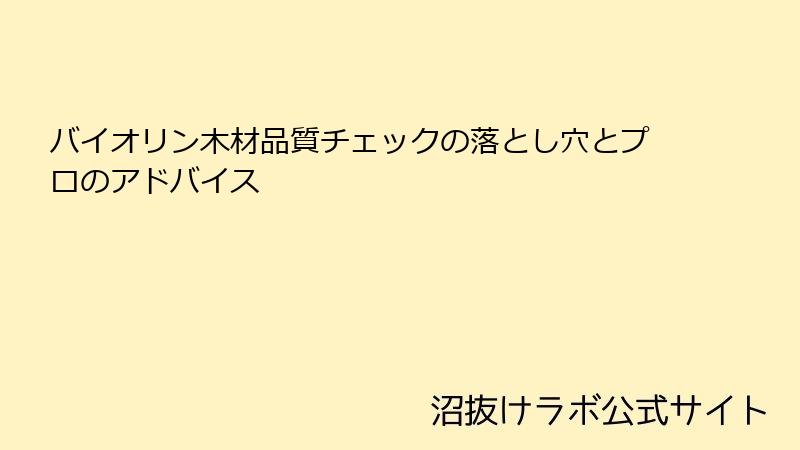 バイオリン木材品質チェックの落とし穴とプロのアドバイス