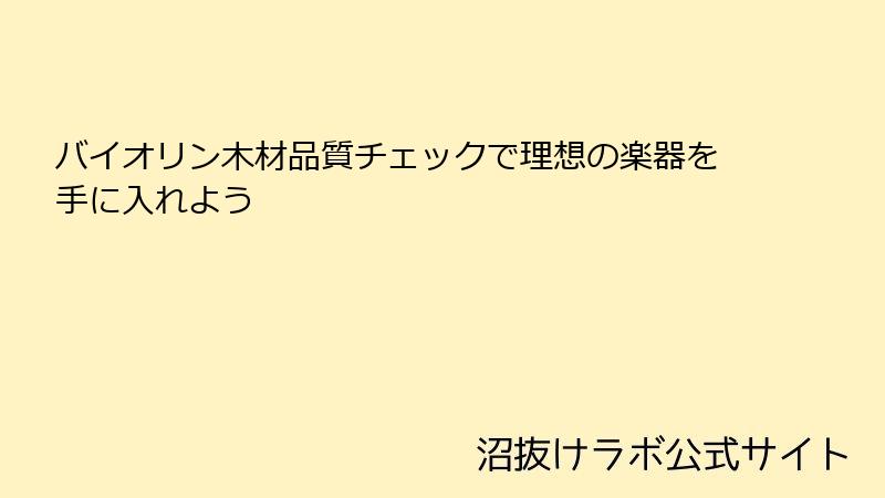 バイオリン木材品質チェックで理想の楽器を手に入れよう