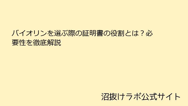 バイオリンを選ぶ際の証明書の役割とは？必要性を徹底解説