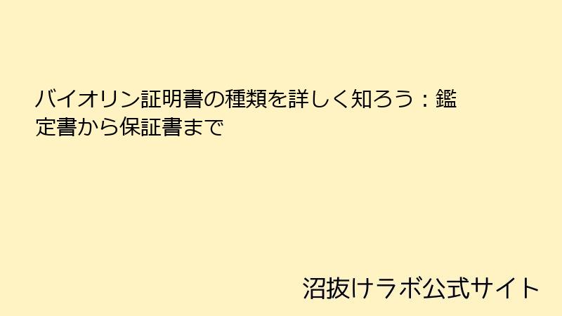 バイオリン証明書の種類を詳しく知ろう：鑑定書から保証書まで