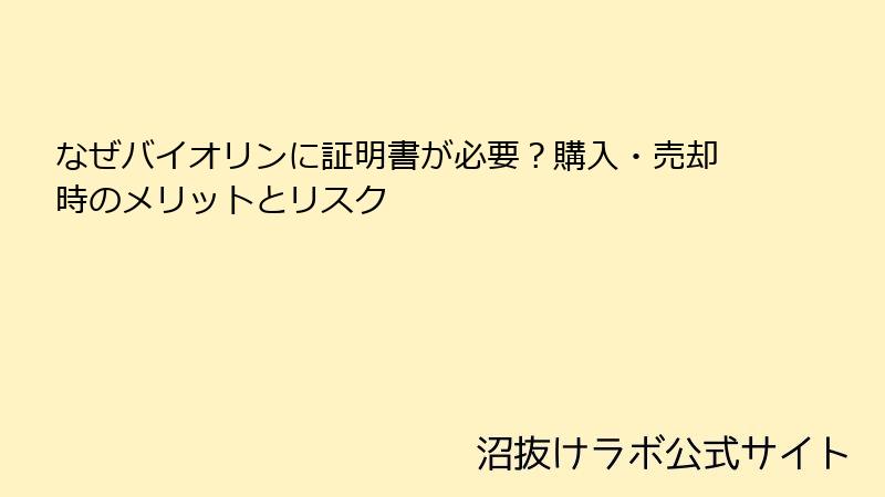 なぜバイオリンに証明書が必要？購入・売却時のメリットとリスク