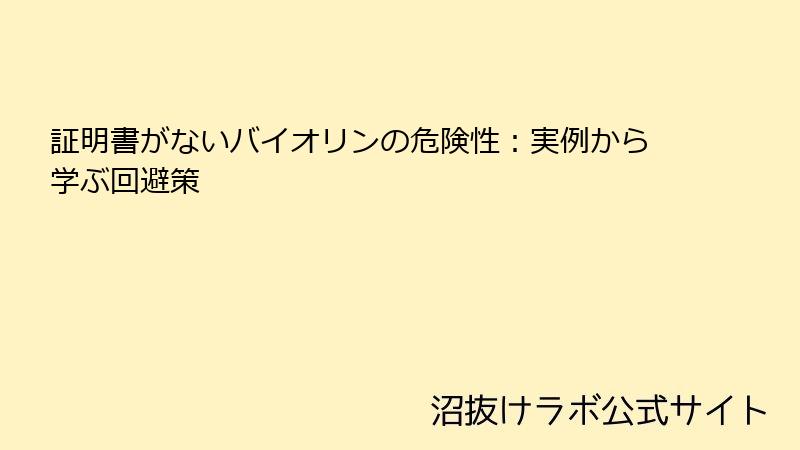 証明書がないバイオリンの危険性：実例から学ぶ回避策