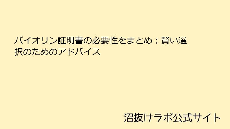 バイオリン証明書の必要性をまとめ：賢い選択のためのアドバイス