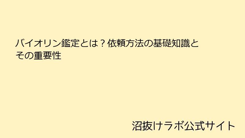 バイオリン鑑定とは？依頼方法の基礎知識とその重要性
