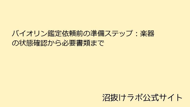 バイオリン鑑定依頼前の準備ステップ：楽器の状態確認から必要書類まで
