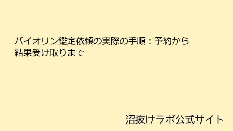 バイオリン鑑定依頼の実際の手順：予約から結果受け取りまで
