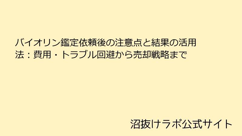 バイオリン鑑定依頼後の注意点と結果の活用法：費用・トラブル回避から売却戦略まで