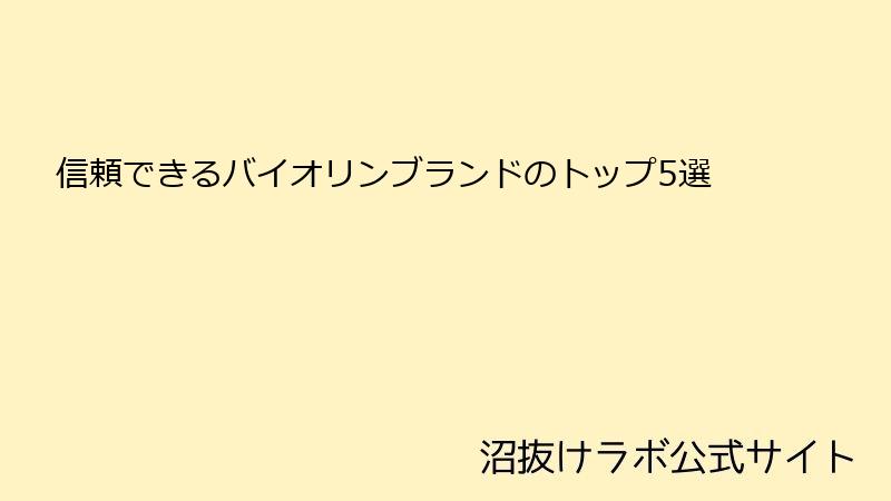 信頼できるバイオリンブランドのトップ5選