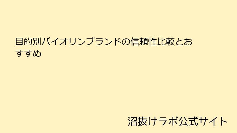 目的別バイオリンブランドの信頼性比較とおすすめ