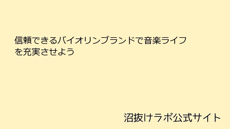 信頼できるバイオリンブランドで音楽ライフを充実させよう