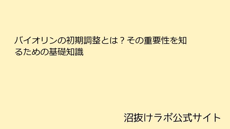 バイオリンの初期調整とは？その重要性を知るための基礎知識