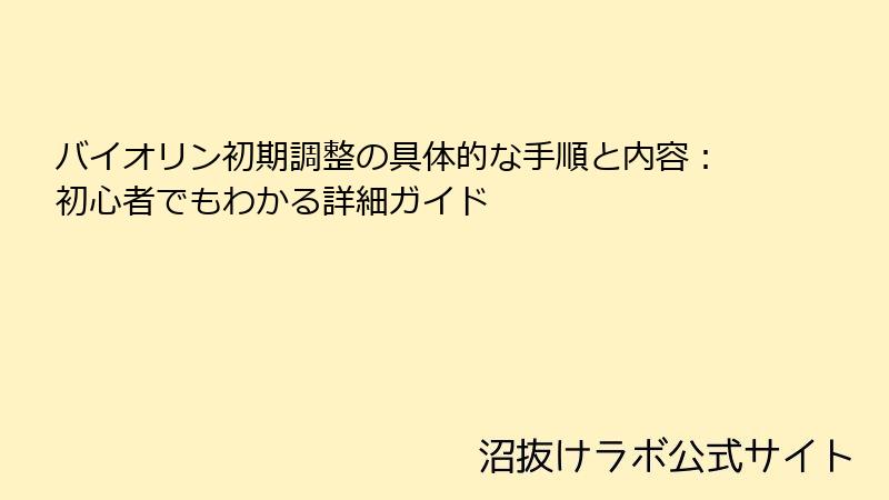 バイオリン初期調整の具体的な手順と内容：初心者でもわかる詳細ガイド