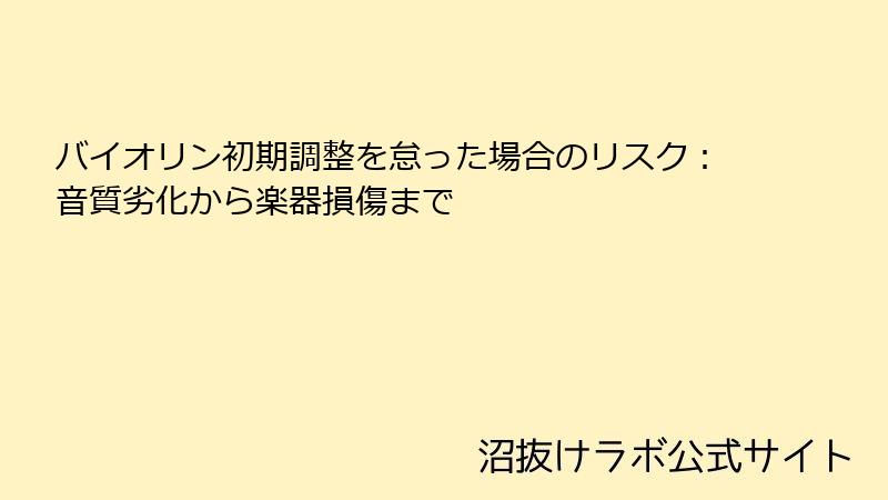 バイオリン初期調整を怠った場合のリスク：音質劣化から楽器損傷まで