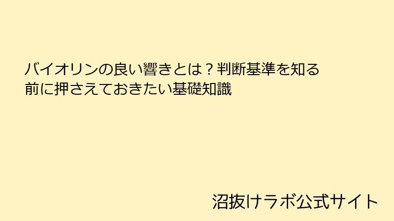 バイオリンの良い響きとは？判断基準を知る前に押さえておきたい基礎知識