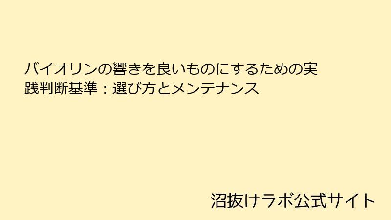 バイオリンの響きを良いものにするための実践判断基準：選び方とメンテナンス